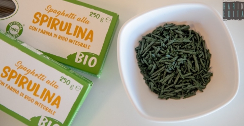 Gravina, alla scoperta della spirulina: la microalga definita il "cibo del futuro"